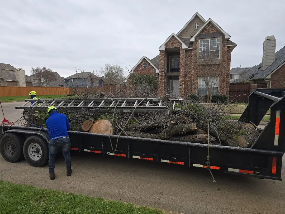 Expert Tree Fertilization with proper safety equipment in Henryetta